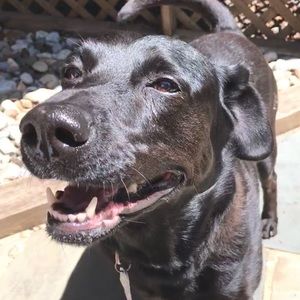 Meet your Posher, Morgann